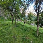 Satılır Torpaq Qəbələ 4