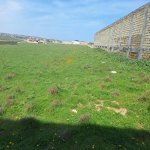 Satılır Torpaq, Novxanı, Abşeron rayonu 9