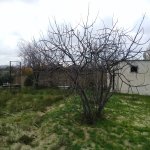 Satılır 5 otaqlı Bağ evi, Saray, Abşeron rayonu 9