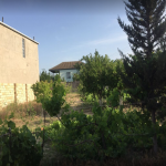 Kirayə (aylıq) 4 otaqlı Bağ evi, Saray, Abşeron rayonu 4