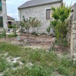 Satılır 4 otaqlı Bağ evi, Buzovna, Xəzər rayonu 11