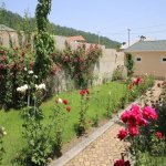 Satılır 7 otaqlı Həyət evi/villa Qusar 13