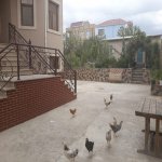 Satılır 8 otaqlı Həyət evi/villa, Saray, Abşeron rayonu 10