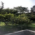 Продажа Участок, м. Ахмедли метро, Ахмедли, Хетаи район 3