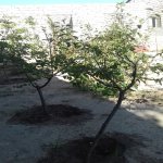 Satılır 3 otaqlı Həyət evi/villa, Pirşağı qəs., Sabunçu rayonu 5