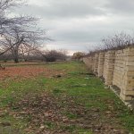 Satılır Torpaq Qəbələ 4