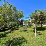 Satılır 7 otaqlı Bağ evi, Şüvəlan, Xəzər rayonu 5