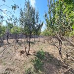 Satılır Torpaq, Novxanı, Abşeron rayonu 12