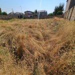 Продажа Участок, Горадиль, Абшерон район 7