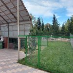 Продажа 11 комнат Дача, пос. Сабунчу, Сабунчу район 15
