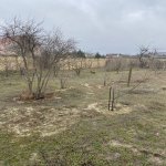 Satılır 1 otaqlı Bağ evi, Fatmayi, Abşeron rayonu 4