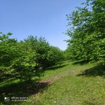 Satılır 8 otaqlı Bağ evi Oğuz 2