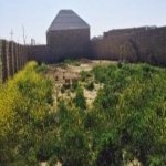 Продажа Участок, пос. Рамана, Сабунчу район 1