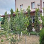 Продажа 11 комнат Дача, пос. Сабунчу, Сабунчу район 16