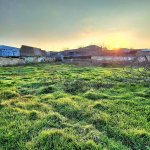 Satılır Torpaq, Digah, Abşeron rayonu 4