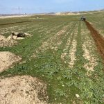 Satılır Torpaq, Masazır, Abşeron rayonu 9