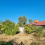 Satılır Torpaq, Mərdəkan, Xəzər rayonu 4
