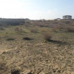 Satılır Torpaq, Kürdəxanı qəs., Sabunçu rayonu 4