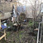 Satılır 3 otaqlı Həyət evi/villa, Həzi Aslanov metrosu, Zığ qəs., Suraxanı rayonu 4