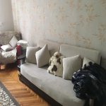 Kirayə (aylıq) 1 otaqlı Köhnə Tikili, 28 May metrosu, Nəsimi rayonu 1