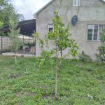 Посуточно 3 комнат Дома/Виллы Гусар 13