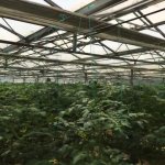 Продажа Объект, Туркян, Хязяр район 33