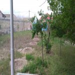 Satılır 6 otaqlı Həyət evi/villa, Kürdəxanı qəs., Sabunçu rayonu 12