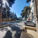Kirayə (aylıq) 10 otaqlı Ofis, Xalqlar dostluğu metrosu, Nizami rayonu 22