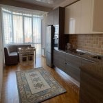 Kirayə (aylıq) 2 otaqlı Yeni Tikili, 28 May metrosu, Nəsimi rayonu 7