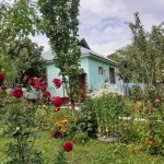 Kirayə (günlük) 2 otaqlı Həyət evi/villa Qəbələ 2
