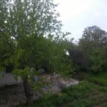 Satılır 3 otaqlı Bağ evi Şamaxı 13