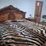 Kirayə (aylıq) 2 otaqlı Həyət evi/villa, Avtovağzal metrosu, Biləcəri qəs., Binəqədi rayonu 2