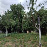 Kirayə (günlük) 3 otaqlı Həyət evi/villa İsmayıllı 3