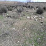 Satılır Torpaq, Saray, Abşeron rayonu 5