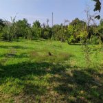 Satılır Torpaq Qəbələ 5