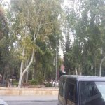Kirayə (aylıq) Obyekt, Sahil metrosu, Səbail rayonu 4