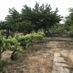 Satılır 5 otaqlı Bağ evi, Novxanı, Abşeron rayonu 3