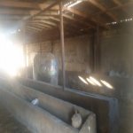 Продажа Объект, Новханы, Абшерон район 5