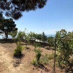 Satılır 5 otaqlı Həyət evi/villa, Badamdar qəs., Səbail rayonu 10