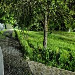 Kirayə (günlük) 3 otaqlı Həyət evi/villa İsmayıllı 26