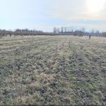 Satılır Torpaq Zaqatala 2