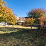 Satılır 3 otaqlı Həyət evi/villa Naxçıvan MR 8