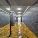 Kirayə (aylıq) 1 otaqlı Yeni Tikili, Qara Qarayev metrosu, Bakıxanov qəs., Sabunçu rayonu 14