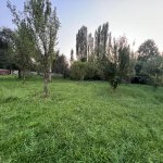 Satılır 3 otaqlı Həyət evi/villa Balakən 15