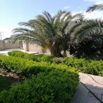 Kirayə (aylıq) 5 otaqlı Bağ evi, Mərdəkan, Xəzər rayonu 1