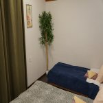 Kirayə (günlük) 3 otaqlı Həyət evi/villa Qəbələ 22