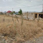 Satılır Torpaq Şamaxı 1