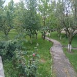Аренда 2 комнатная Дома/Виллы Губа 2