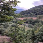 Kirayə (günlük) 5 otaqlı Həyət evi/villa Quba 23