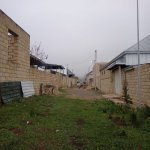 Satılır Torpaq Şamaxı 4